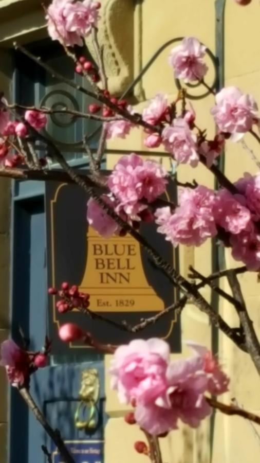 Blue Bell Inn Sorell Zewnętrze zdjęcie