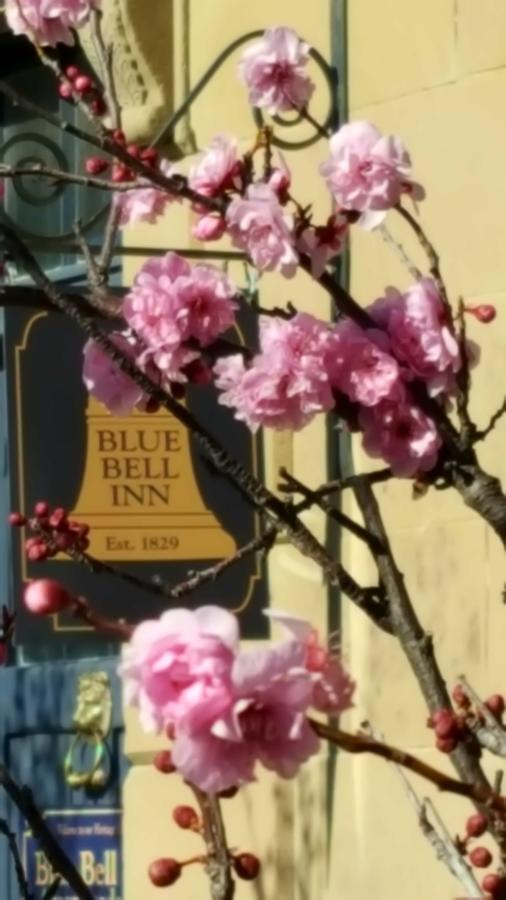 Blue Bell Inn Sorell Zewnętrze zdjęcie